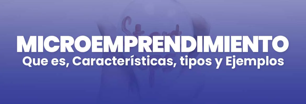 microemprendimiento que es tipos y ejemplos